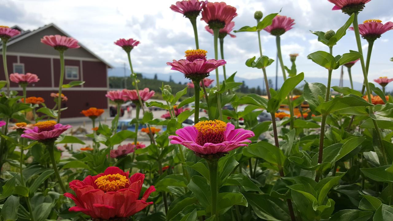 Hillcrest Farm Market B&B Kelowna Bagian luar foto